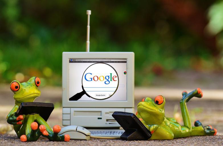 žabáci a google.jpg